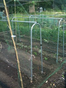 Custom pea stands