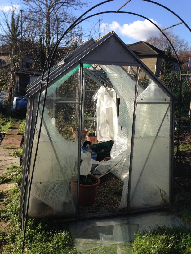 Wrecked greenhouse