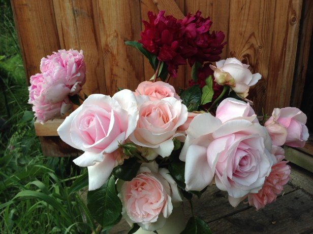 Deciding to grow roses at the plot for the vase was inspired