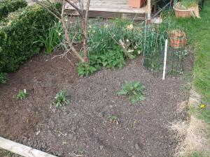 flower bed replanted